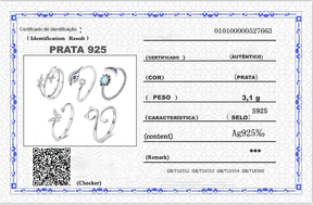 Conjunto 5 Anéis de Prata 925  Glamour