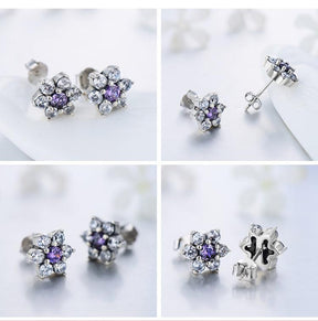 Conjunto de Prata Elegancy