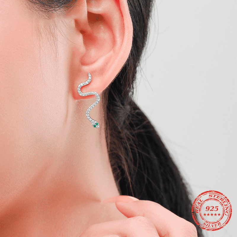 Conjunto Snake Prata 925